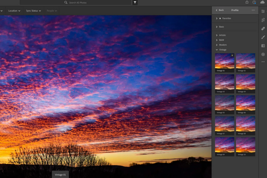 Edit Like an Artist: Lightroom & Photoshop for Beginners